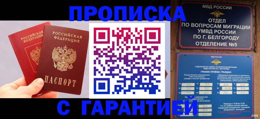 прописка 2025 в Мурманске